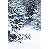 Winter landscape with snow covered trees and gray sky