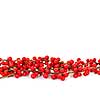 Red winterberry Christmas border with holly berries on branches
