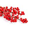 Winterberry Christmas branches with red holly berries