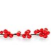 One winterberry Christmas branch with red holly berries