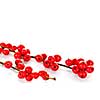 Winterberry Christmas branches with red holly berries