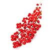 Winterberry Christmas branches with red holly berries