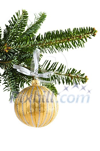 Golden Christmas decoration hanging on pine branch isolated on white Golden Christmas decoration hanging on pine branch isolated on white
