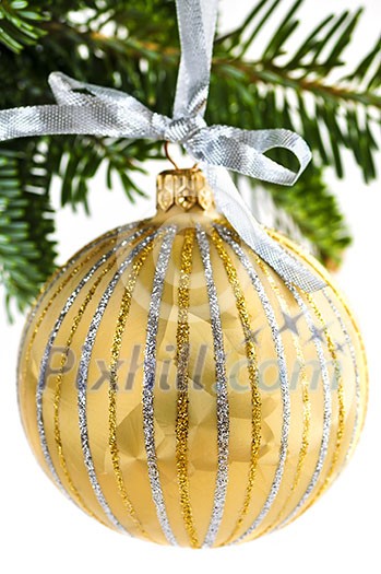 Golden Christmas decoration hanging on pine branch isolated on white Golden Christmas decoration hanging on pine branch isolated on white