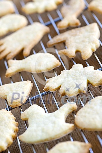 Cooling rack with fresh baked homemade shortbread cookies Cooling rack with fresh baked homemade shortbread cookies