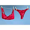 Sexy lace lingerie hanging on clothes line