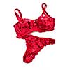 Sexy lace lingerie isolated on white background
