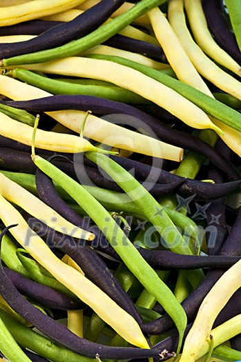 Pile of purple yellow and green string beans Pile of purple yellow and green string beans