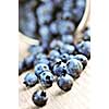 Fresh blueberries spilling out of a pail close up