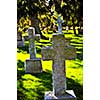 Bright graveyard lawn with ancient tombstone crosses