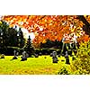 Bright graveyard lawn with ancient tombstone crosses