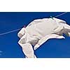 White shirt hanging to dry on clothes line