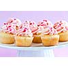 Lots of tasty cupcakes with icing on serving tray