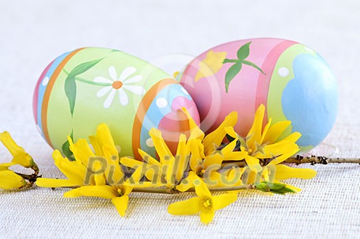 Easter eggs arrangement with yellow forsythia flowers