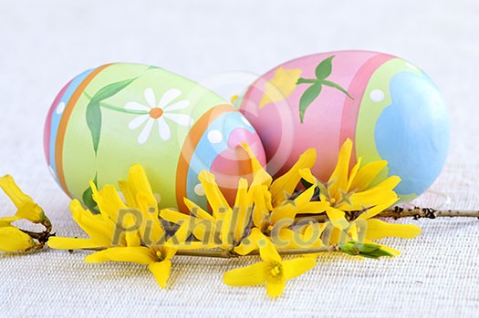 Easter eggs arrangement with yellow forsythia flowers Easter eggs arrangement with yellow forsythia flowers