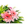 Close up of floral arrangement with pink gerberas