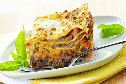Serving of fresh baked lasagna on a plate Serving of fresh baked lasagna on a plate