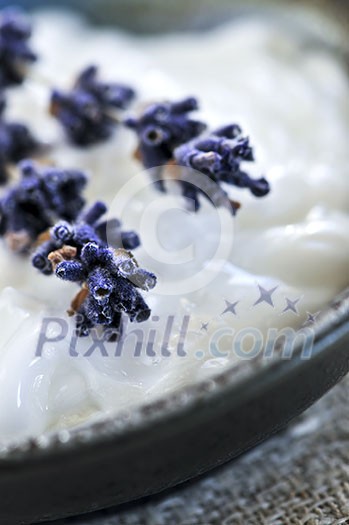 Natural cream skincare with branches of lavender Natural cream skincare with branches of lavender
