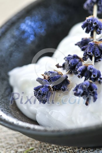 Natural cream skincare with branches of lavender Natural cream skincare with branches of lavender