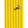 Security camera on a yellow wall