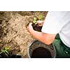 Hands of  a man planting his own vegetable garden