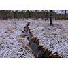 First snow in national park
