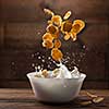 Falling corn flakes with milk splash on wooden background