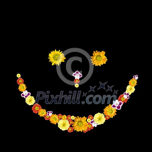 decorative smile symbol from color flowers