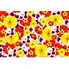 color flowers background