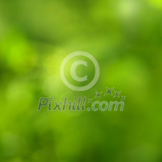 abstract green background with natural bokeh abstract green background with natural bokeh