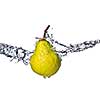 yellow pear with water splash isolated on white