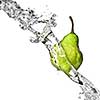 fresh water splash on green pear isolated on white