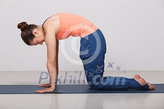 Beautiful sporty fit yogini woman practices yoga asana marjariasana - cat pose gentle warm up for spine (also called cat-cow pose) in studio Beautiful sporty fit yogini woman practices yoga asana marjariasana - cat pose gentle warm up for spine (also called cat-cow pose) in studio