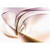 Background abstract image with loops and springs
