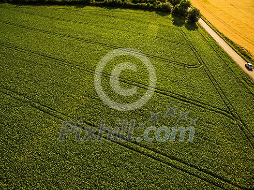 Farmland from above - aerial image of a lush green filed Farmland from above - aerial image of a lush green filed