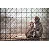Sad monkeys behind bars in captivity
