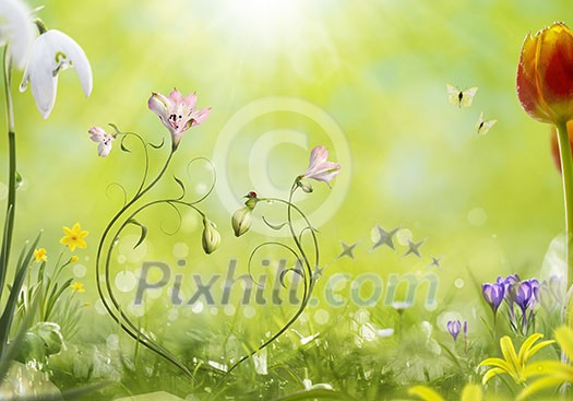 Spring sun shining bright on new out of focus flowers in grass surroundings with space for text in the middle. Spring sun shining bright on new out of focus flowers in grass surroundings with space for text in the middle.