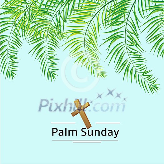 Palm leafs vector background with place for text. Palm leafs vector background with place for text.