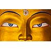 Eyes of Maitreya Buddha face close up. Thiksey Gompa. Ladakh, India