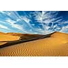 Sam Sand dunes in Thar Desert. Rajasthan, India