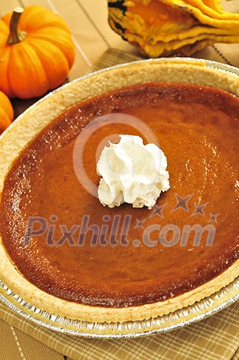 Whole pumpkin pie with fresh whipped cream Whole pumpkin pie with fresh whipped cream