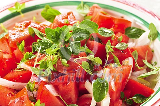 Summer tomato salad with onions and herbs Summer tomato salad with onions and herbs