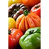Close up group of multi colored heirloom tomatoes