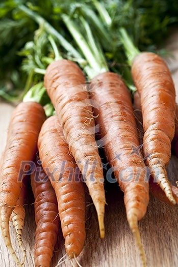 Bunch of whole fresh organic orange carrots Bunch of whole fresh organic orange carrots