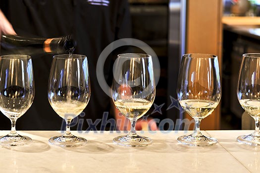 Row of white wine glasses in winery tasting event Row of white wine glasses in winery tasting event