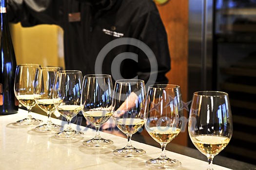Row of white wine glasses in winery tasting event Row of white wine glasses in winery tasting event