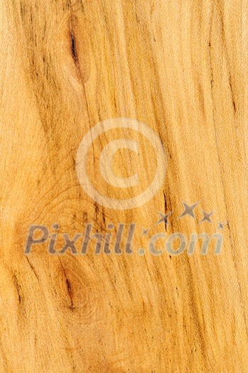 Close up of prefinished hardwood flooring sample Close up of prefinished hardwood flooring sample