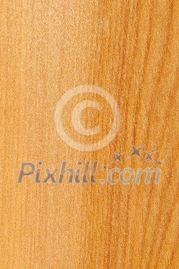 Close up of prefinished hardwood flooring sample Close up of prefinished hardwood flooring sample