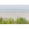 Empty sandy beach in fog with green grass