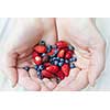 Hands holding freshly picked wild strawberries and blueberries